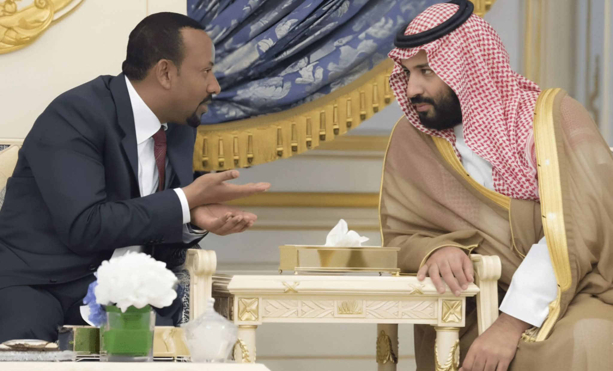 يتعين على السعودية استعادة ريادتها الإقليمية من مصر فورًا، فهي الأجدر بذلك، وبناء تحالفات استراتيجية قوية مع قادة إفريقيا. (1)