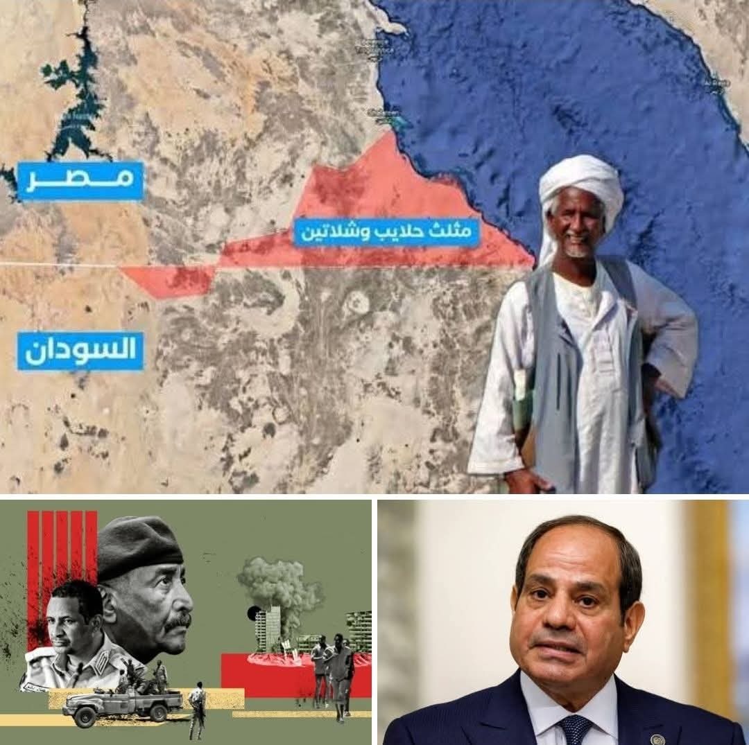 ناشط سوداني : مصر لديها خطوط حمراء كثيرة لكن يبدو أن بعضها يُرسم بالقلم الرصاص.. واحتلال حلايب وشلاتين نموذجاً.