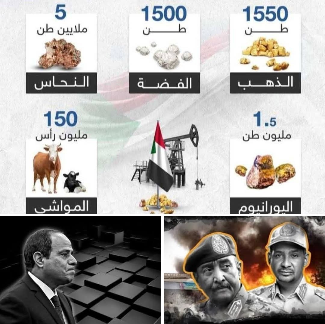 صحفي_سوداني : لا يمكن لدولة تحتل أرضًا سودانية وتُدار ضدها دعاوى وشكاوى دولية قائمة، أن تقدّم نفسها وصيًّا على سلامة ووحدة التراب السوداني