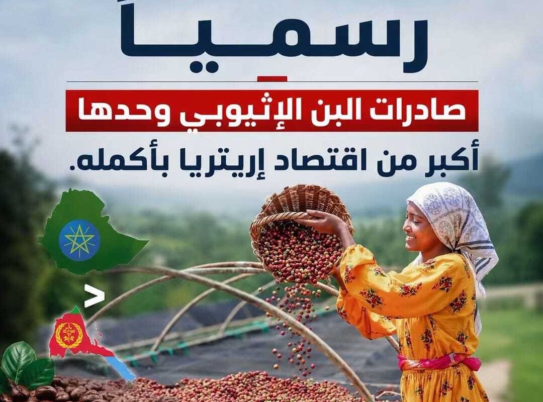 صادرات البن تتجاوز اقتصاد إريتريا بإيرادات قياسية تبلغ…